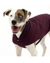 Aronkl - Loft Dog Jacket: Insulated - Lyst