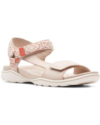 step cali palm clarks