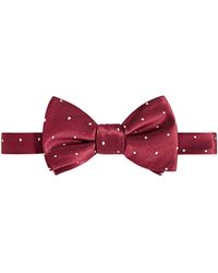 Tayion Collection - Crimson & Cream Dot Bow Tie - Lyst
