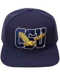 Pro Standard - Coppin State Eagles Evergreen Csu Snapback Hat - Lyst