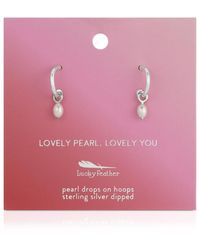 Lucky Feather - Hoops - Lyst