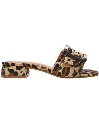 women's yossi lace mesh slide dress sandals DV Dolce Vita Women's Yossi Pump