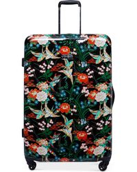 jessica simpson suitcase