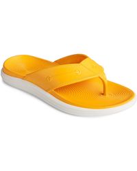 sperry mens flip flops