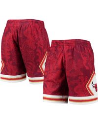 Mitchell & Ness CHICAGO BULLS ASTRO SWINGMAN SHORT - Sports shorts - grey 