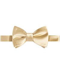 Tayion Collection - Purple & Gold Solid Bow Tie - Lyst