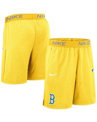 Nike - Boston Red Sox Authentic Collection City Connect Performance Knit Shorts - Lyst