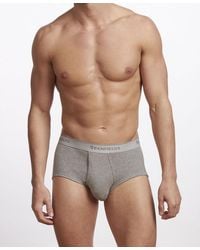 Stanfield's - Premium Cotton 3 Pack Brief Underwear - Lyst