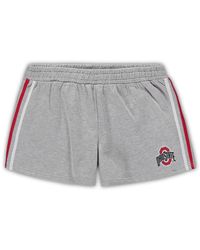 Profile - Ohio State Buckeyes Plus Size 2 Stripes Shorts - Lyst