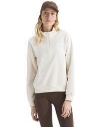 The North Face - Evolution Simple Dome Regular Quarter Zip Sweatshirt - Lyst
