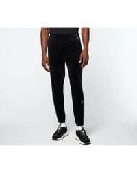 Sergio Tacchini - Big & Tall Lioni Velour Track Pant - Lyst
