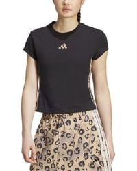 adidas - Leopard-print Trim Slim-fit T-shirt - Lyst