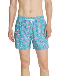 Chubbies - The Domingos Are For Flamingos Quick-dry 5-1/2" Swim Trunks - Lyst