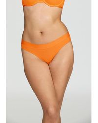 CUUP - Plus Size The Bikini - Lyst