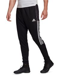 adidas trackpants sale