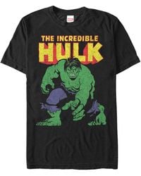 Fifth Sun Marvel Comic Collection The Hulk Smash Short Sleeve T-shirt ...
