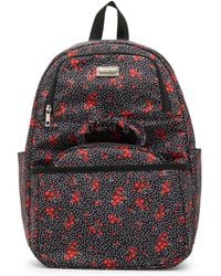 Madden Girl - Bowie Medium Backpack - Lyst
