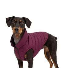 Aronkl - Loft Dog Jacket: Insulated - Lyst