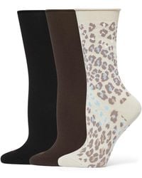 Hue - Roll Top Socks 3-pk U6487mp - Lyst