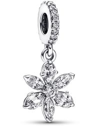 PANDORA - Cubic Zirconia Sparkling Herbarium Cluster Dangle Charm - Lyst