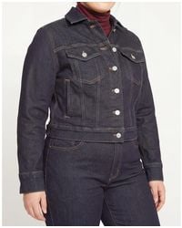 UNIVERSAL STANDARD - Plus Size Kelsey Denim Jacket - Lyst