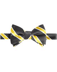 Tayion Collection - & Gold Stripe Bow Tie - Lyst