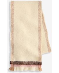 Style & Co. - Bordered Blanket Wrap - Lyst