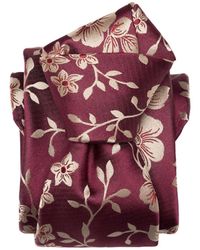 Elizabetta - Silvio - Lyst