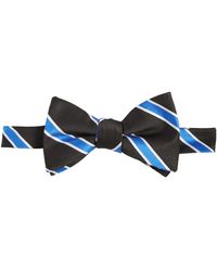 Tayion Collection - Royal Blue & White Stripe Bow Tie - Lyst