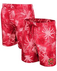 Colosseum Athletics - Maryland Terrapins What Else Is New Swim Shorts - Lyst