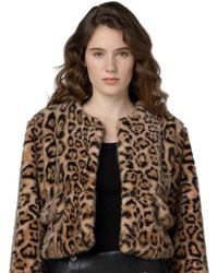 Blank NYC - Animal Instinct Leopard-print Faux Fur Collarless Jacket - Lyst