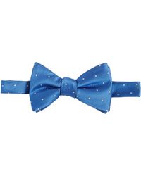 Tayion Collection - Royal & White Dot Bow Tie - Lyst