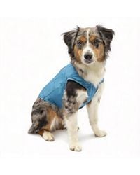 Aronkl - Loft Dog Jacket: Insulated - Lyst