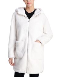 bcbg teddy bear coat
