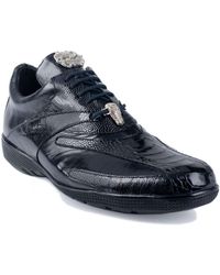 belvedere sneakers