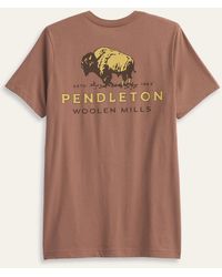 Pendleton - Short-sleeve Bison Graphic T-shirt - Lyst