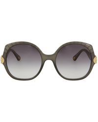 Chloé Oversized-round Acetate Sunglasses - Multicolour
