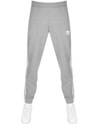 BB Track Pants