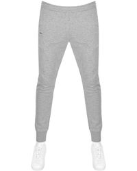 grey lacoste bottoms