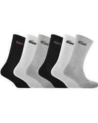 Lacoste - 6 Pack Sport Crew Socks - Lyst