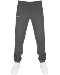 mens lacoste tracksuit bottoms