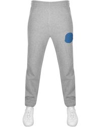 bbc jogging suit