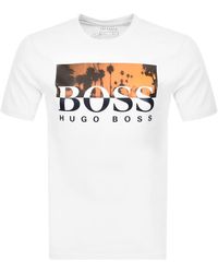 boss coxtan 6