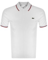 lacoste tipped polo