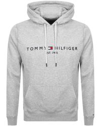 tommy hilfiger hoodie on sale