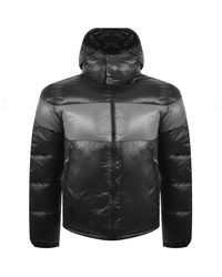 ea7 coat