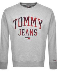 tommy hilfiger everest logo sweatshirt