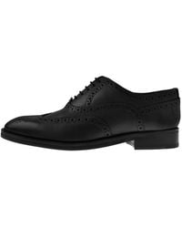 Ted Baker Amaiss Brogues Shoes - Black