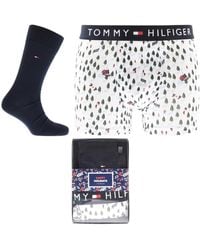 Tommy Hilfiger Socks for Men | Online Sale up to 51% off | Lyst