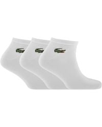 Lacoste - 3 Pack Ankle Socks - Lyst